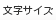 文字サイズ