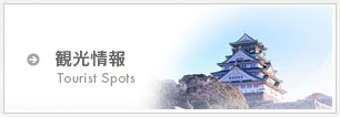 観光情報