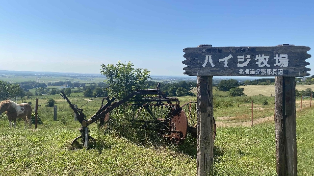ハイジ牧場 ブログ 公式 ホテル京阪 札幌