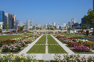 中之島公園　（C）（公財）大阪観光局