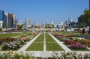 中之島公園 (C)(公財)大阪観光局