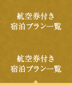 航空券付き宿泊プラン一覧