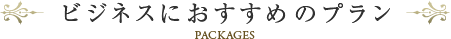 ビジネスにおすすめのプラン