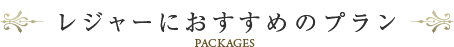レジャーにおすすめのプラン