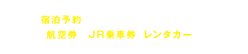 公式サイトのダイナミックパッケージなら、ホテルの宿泊予約をしながら、お客様にもっとも最適な航空券やJR乗車券、レンタカーを同時にご予約いただけます。