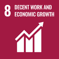 8.Decent Work and Economic Growth