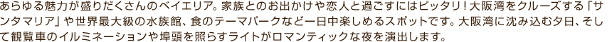 あらゆる魅力が盛りだくさんのベイエリア。家族とのお出かけや恋人と過ごすにはピッタリ！大阪湾をクルーズする「サンタマリア」や世界最大級の水族館、食のテーマパークなど一日中楽しめるスポットです。大阪湾に沈み込む夕日、そして観覧車のイルミネーションや埠頭を照らすライトがロマンティックな夜を演出します。