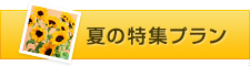 夏の特集プラン
