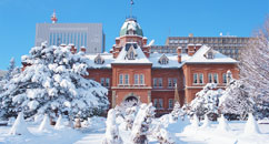 札幌の楽しみ方